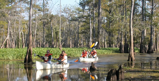 Canoeing in the Atchafalaya Basin