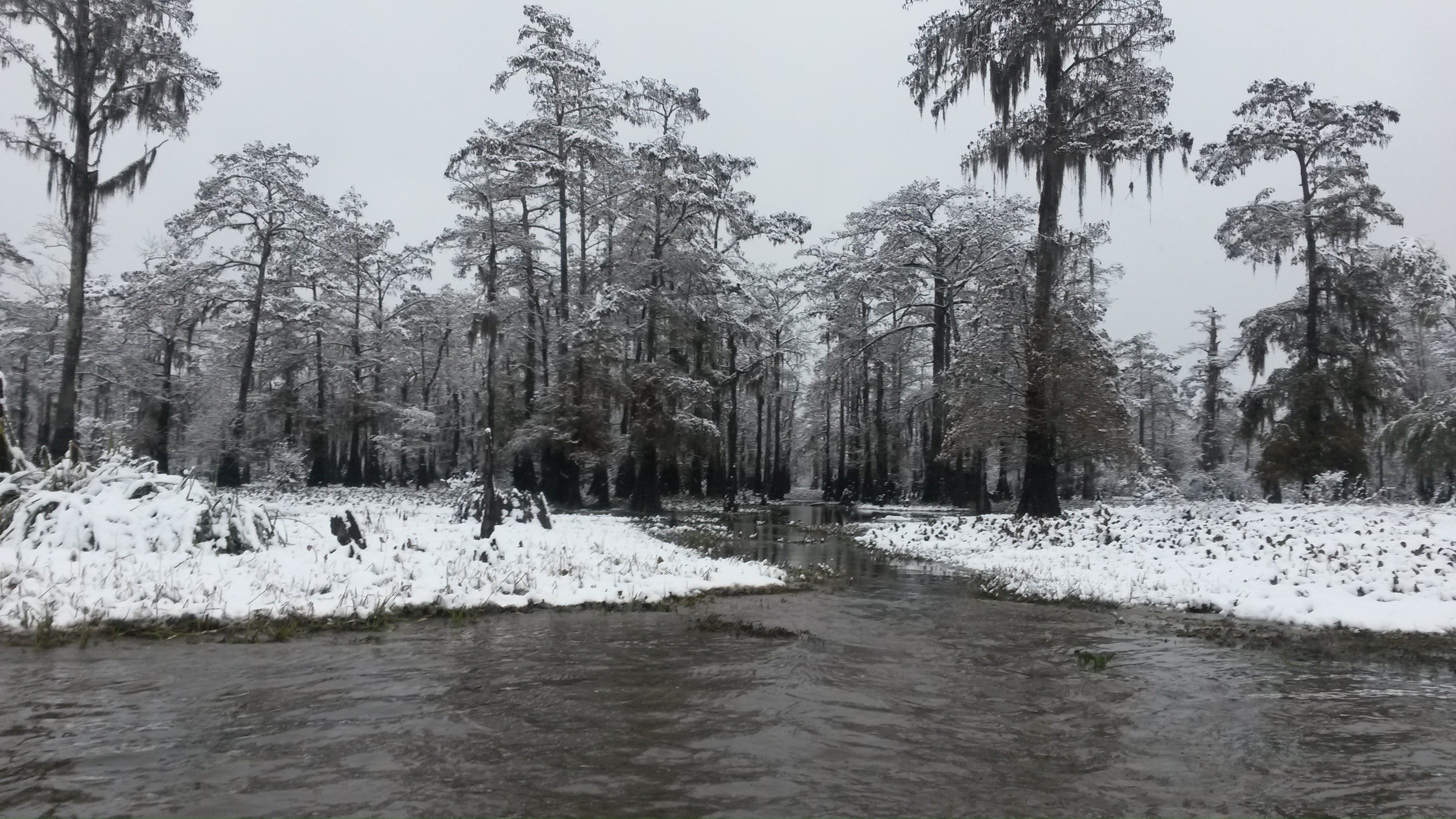 Lake Martin in Winter