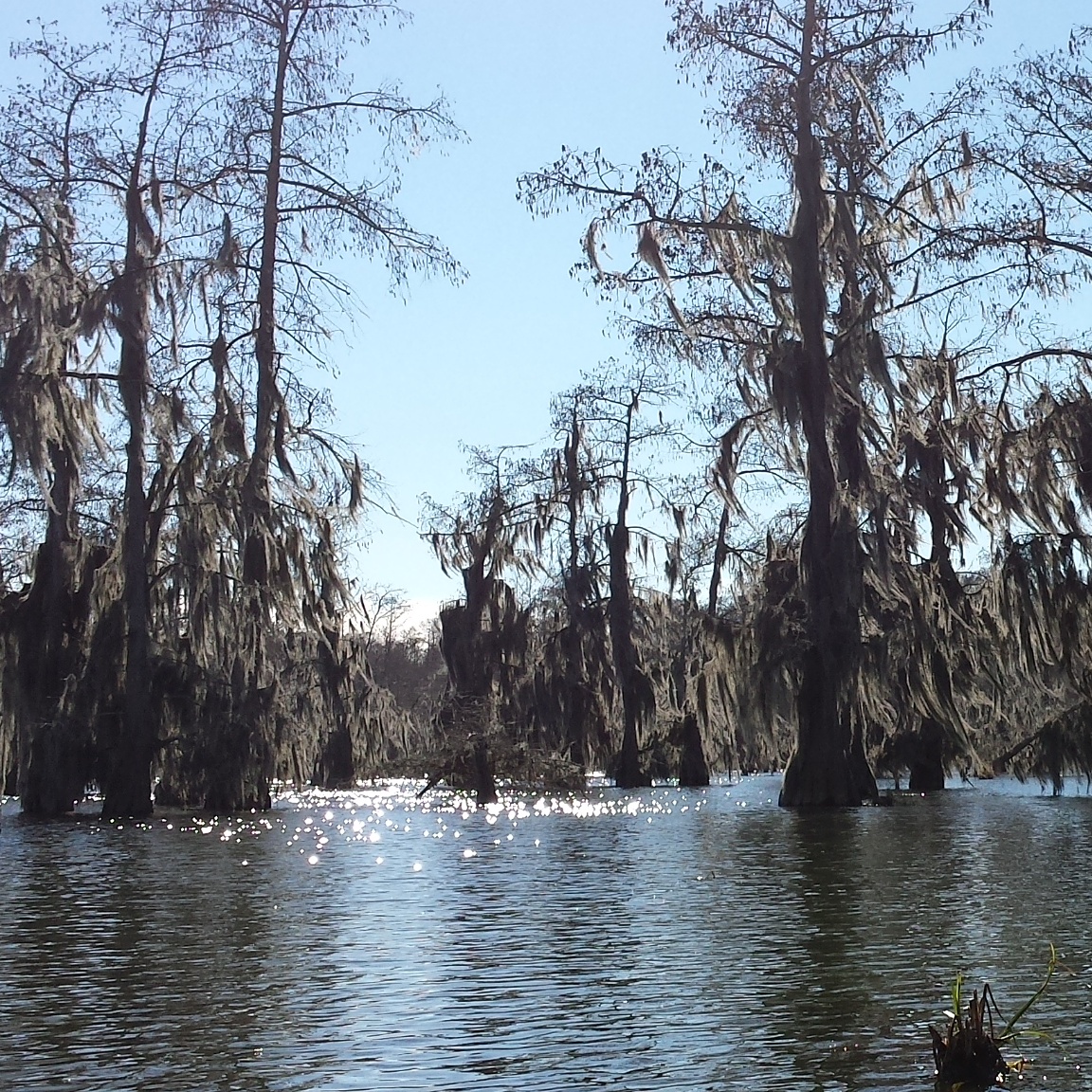 Lake Martin in Winter