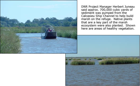 project images